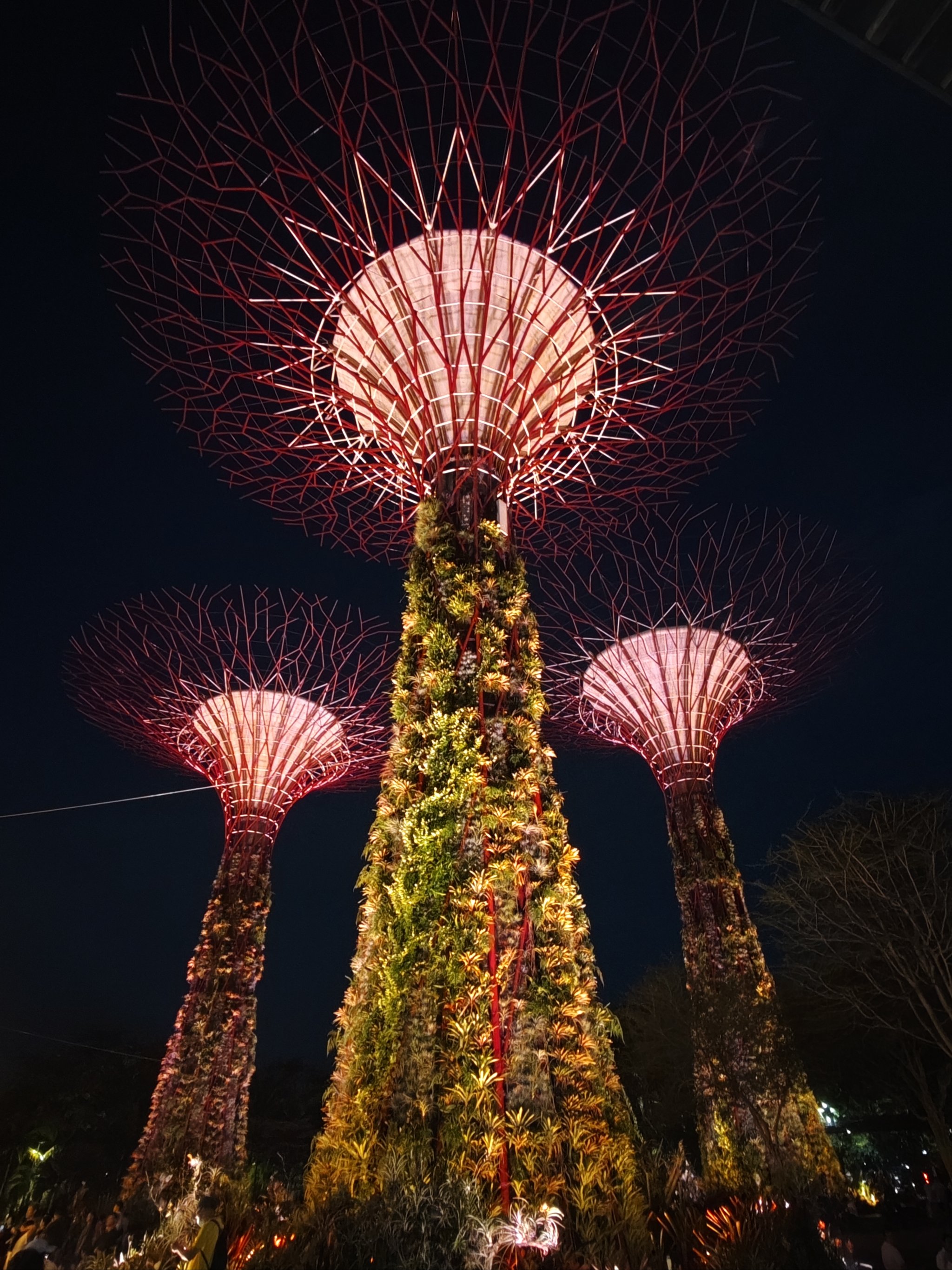 LEYU乐鱼体育官方网站-&quot;夜光战场：夜间灯光秀激发不同精彩&quot;