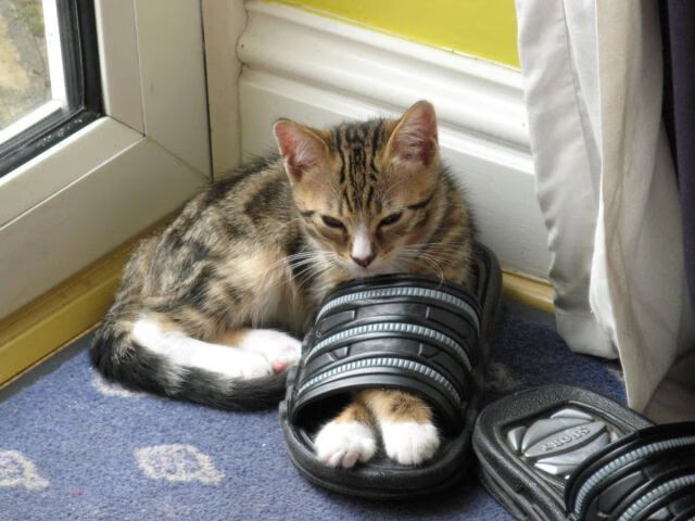 《Dota 2传奇战队,荣耀再现场上爆发》,dota2传奇相当于lol什么段位