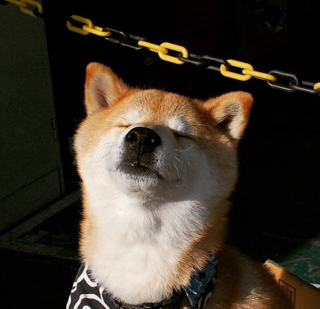 史上最“燃”季后赛夜战,哪场让你热血沸腾?,季后赛饭堂夜