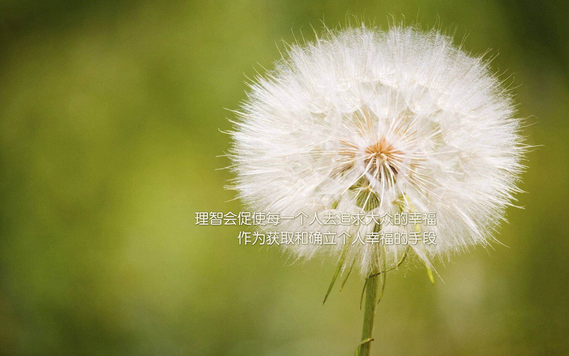 Faker职业生涯总击杀数突破3000大关,faker职业生涯胜率