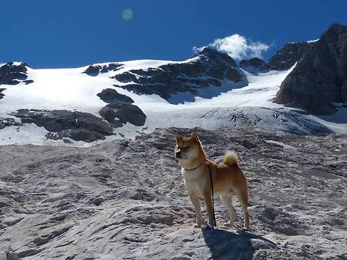 FaZe Clan LOL内容获亚洲市场好评,faze clan战队百度百科