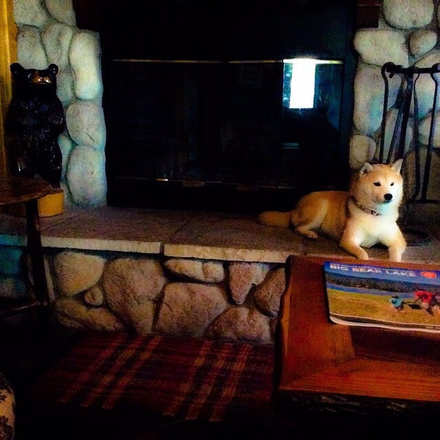 内蒙古草原队员备战积极,志在必胜