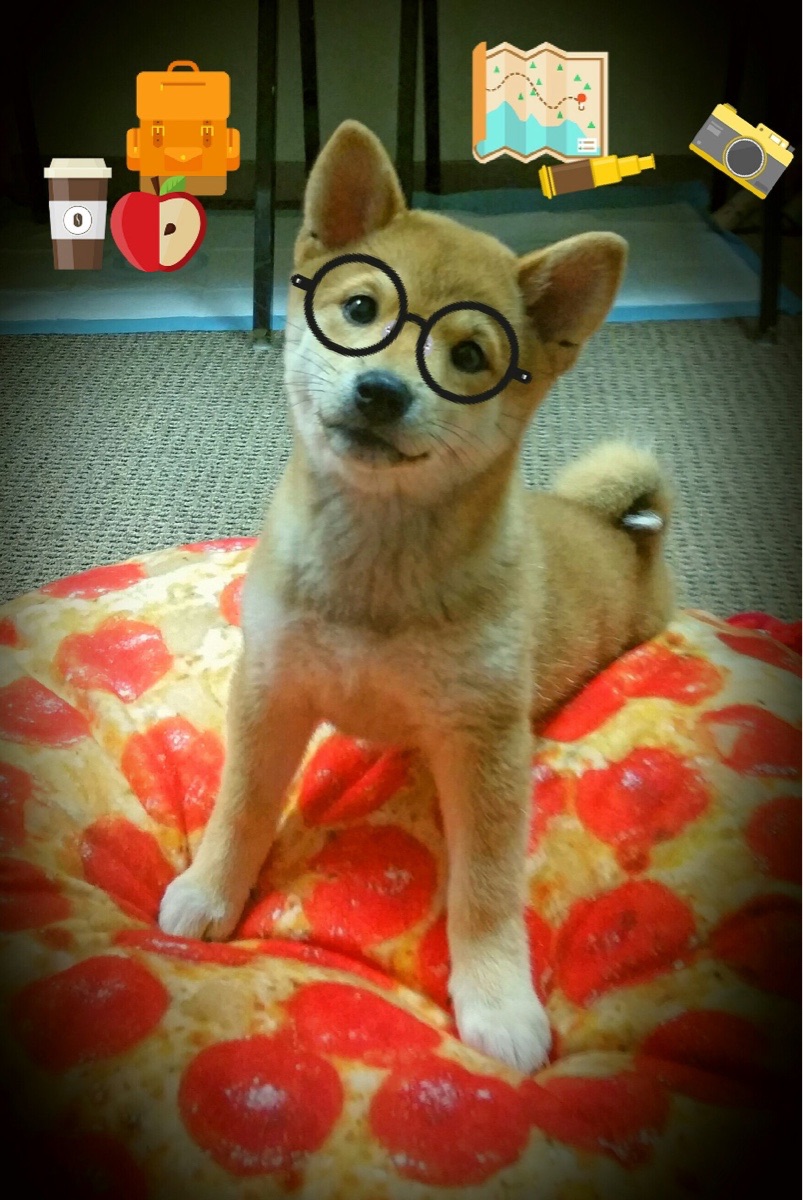 乐鱼体育登录-比利时田径队在本届奥运会上共获3枚奖牌，比利时奥运冠军