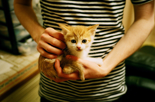 体育传媒发展现状与传播力提升方案,体育传媒是干什么的