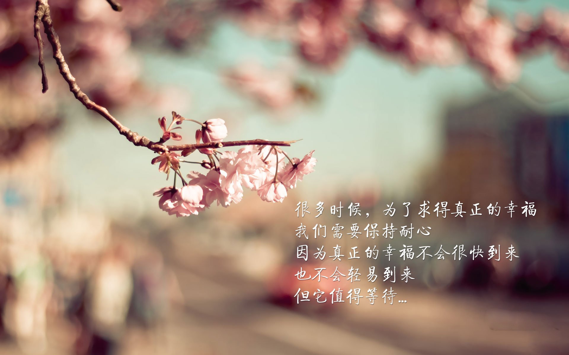 篮球运动员专项技能动作规范化训练标准及实施，篮球运动员基础训练