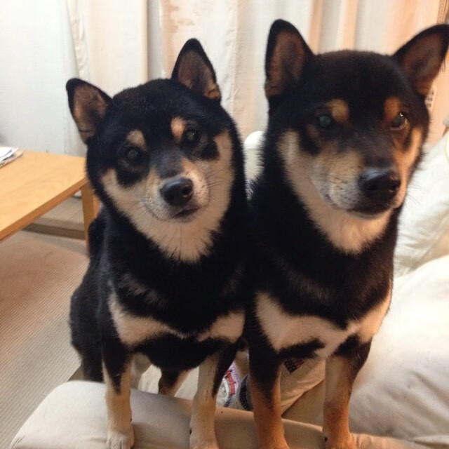 leyu.com-体育明星公益活动引发热潮，体育明星公关案例