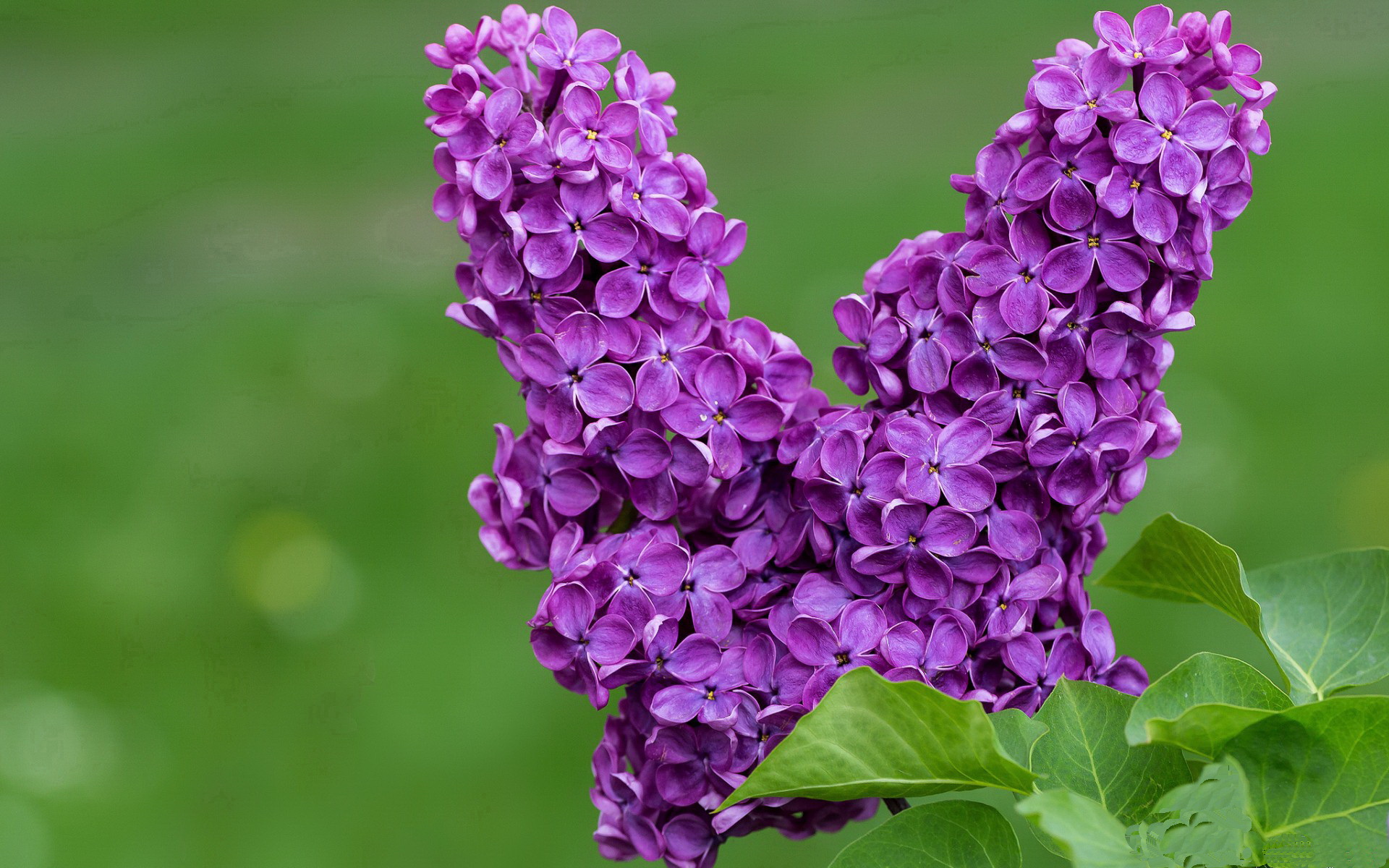 教练团队集体学习国际案例提升教学理念,教练技术应用的案例