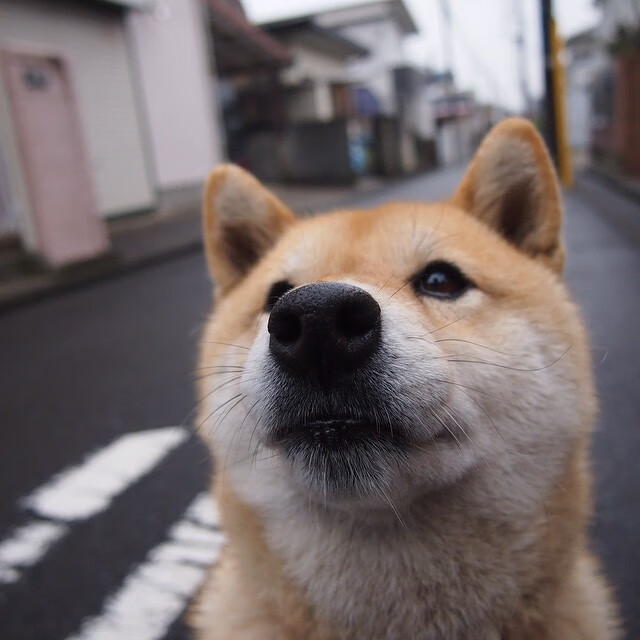 欧洲杯战术创新:变阵无限可能!,欧洲杯神奇规律